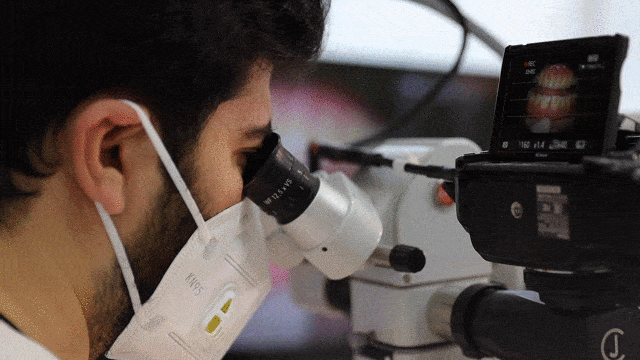 Dr. Elias Abou Tayeh performing microscope dentistry - Mineers Smile Center Beirut